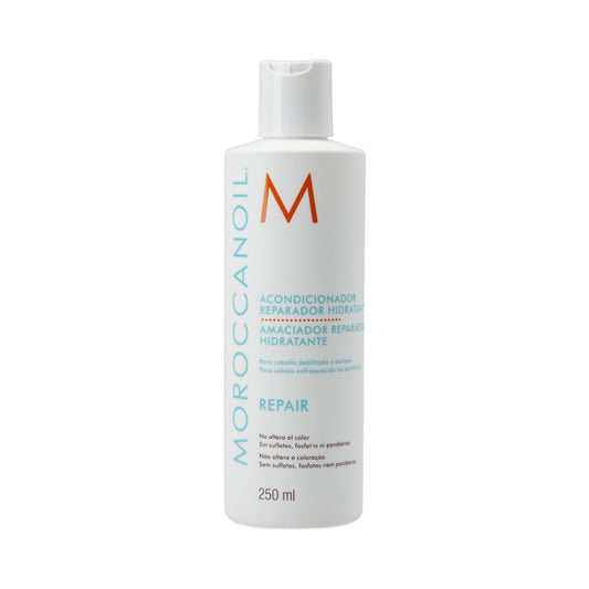 Moroccanoil Repair